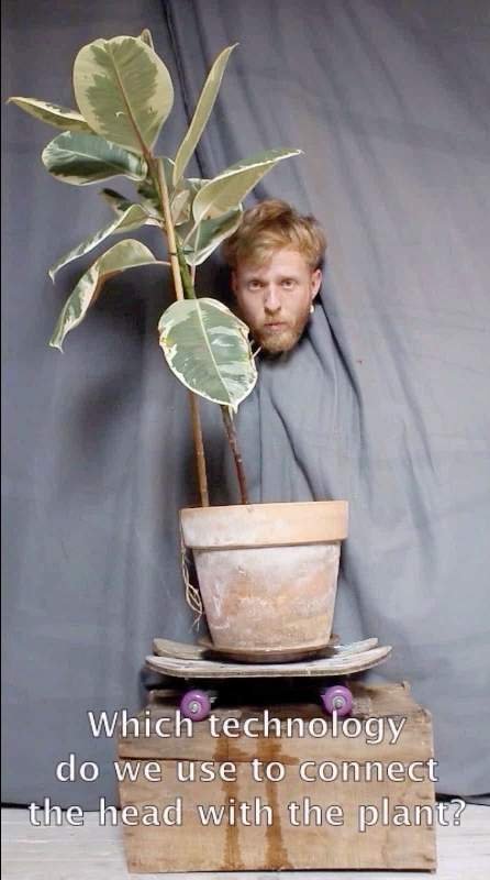 Human~Plant, still from the video, 1 min 24 s, Antwerp, 2015