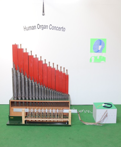 Human Organ Concerto