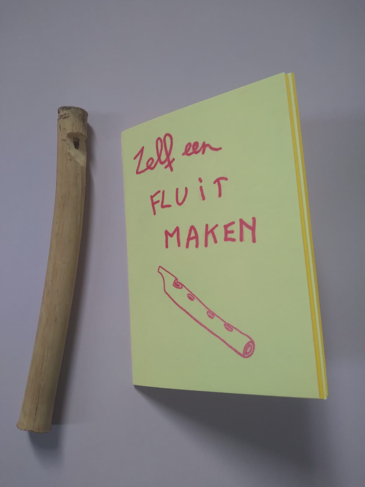 Zelf een fluit maken ~ voor de vlierenfluiter